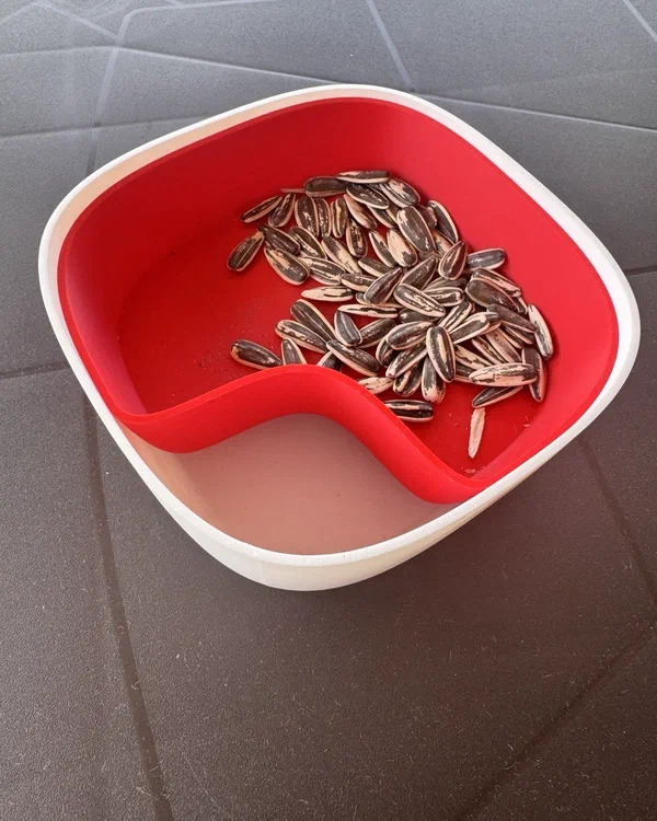 Bol para pipas — foto 1